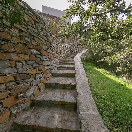 The Oak Tree House Летний дом