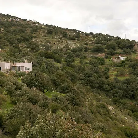 The Oak Tree House Летний дом Ioulis