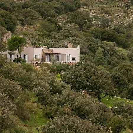 The Oak Tree House